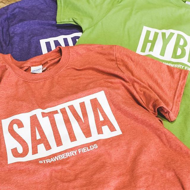 Strawberry Fields Colorado Springs Website