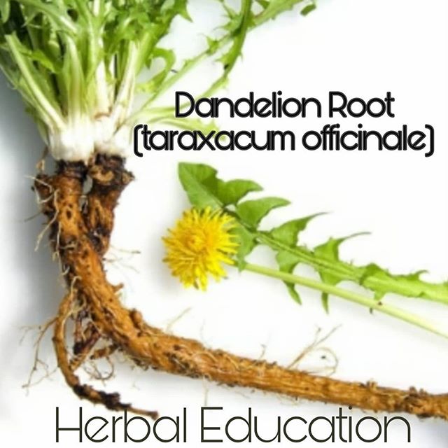 Breeze Botanicals - Ashland Website