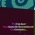 The Reef - Seaside Website