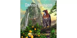 Always Greener Downtown - Redmond Website