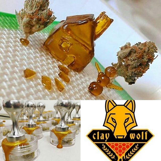 MediGreen Collectives Website