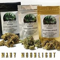 Mary Moonlight Website