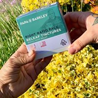 Papa and Barkley Website