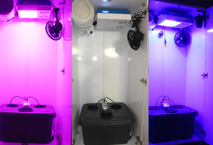 Lumini Technology Co.,Ltd Website