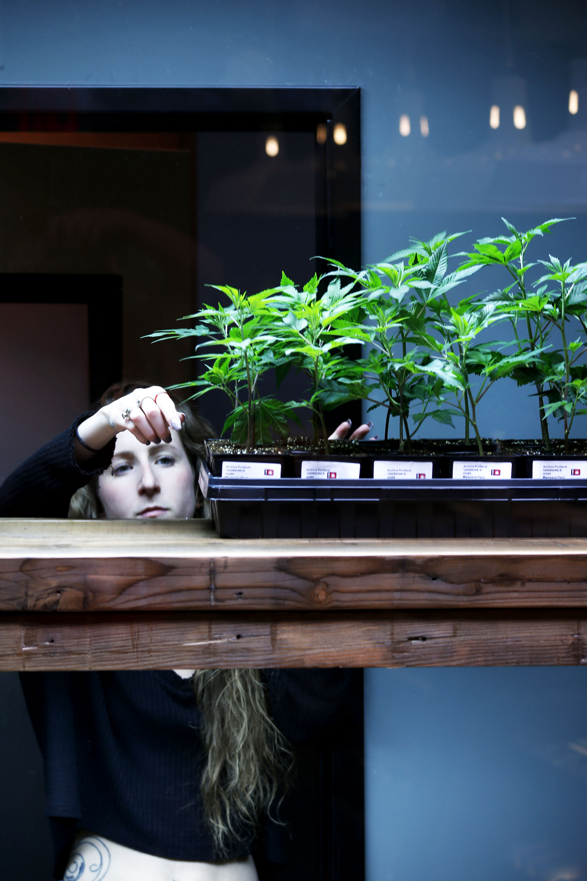 Five Zero Trees Oregon City Website