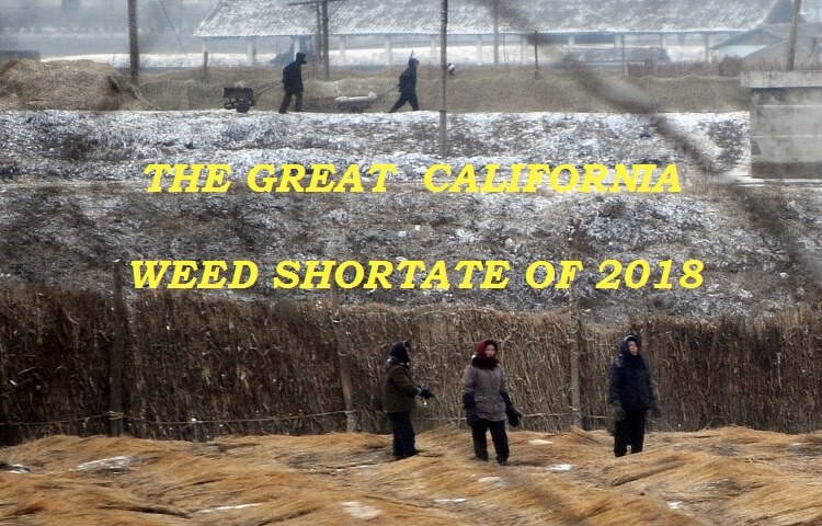 420EvaluationsOnline - El Monte Website