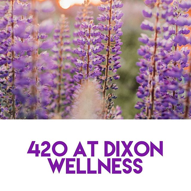 Dixon Wellness Website