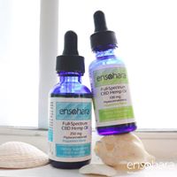 Ensohara INC Website