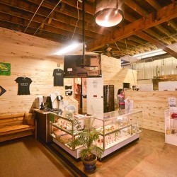 Santé - Durango Website