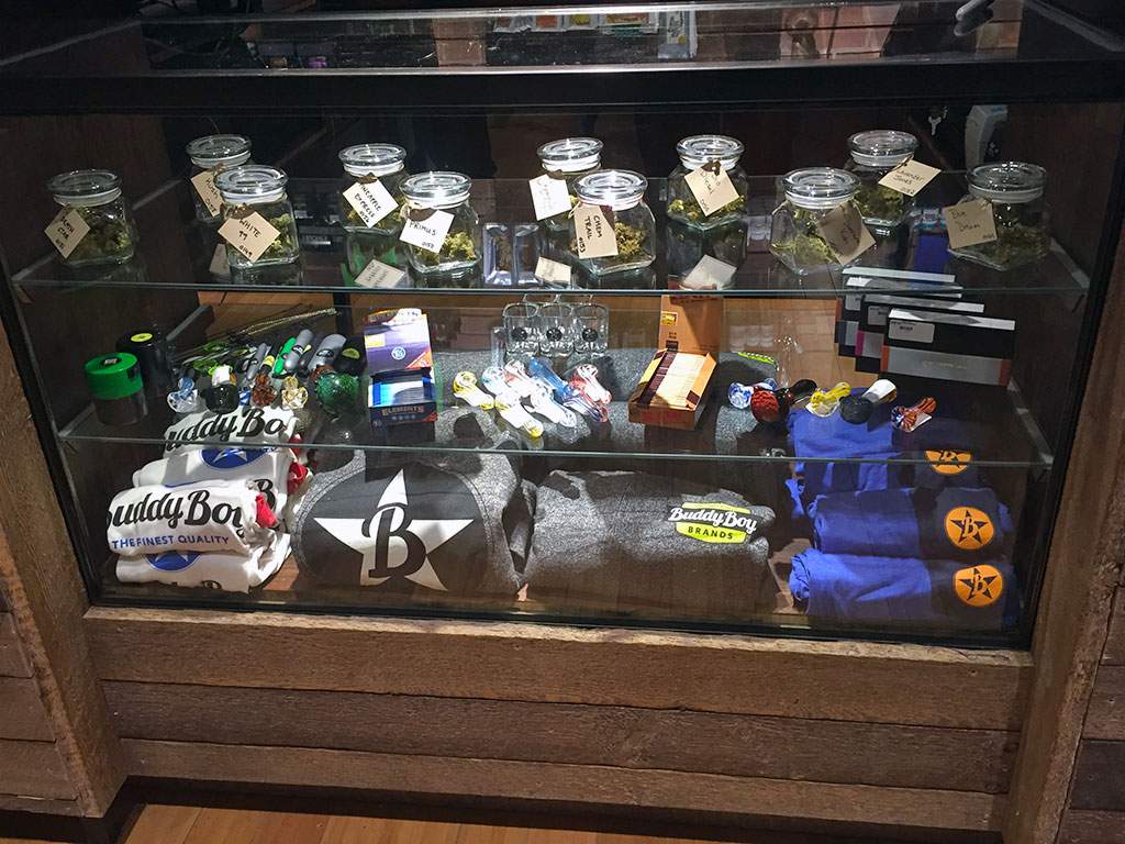 Buddy Boy Walnut - Rino Website