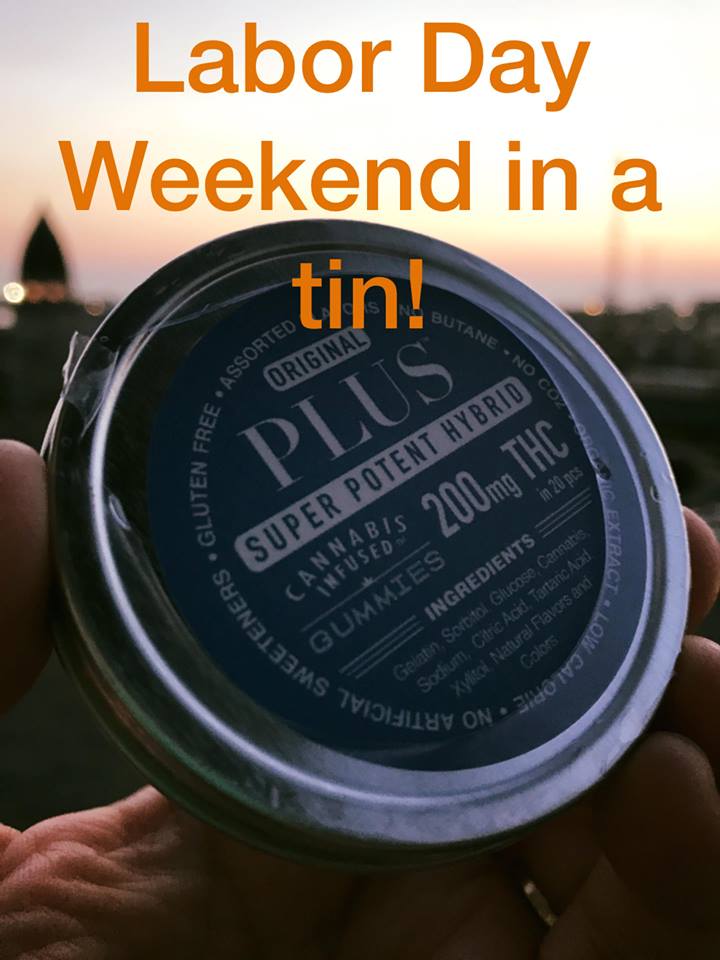 Buzz Delivery Website