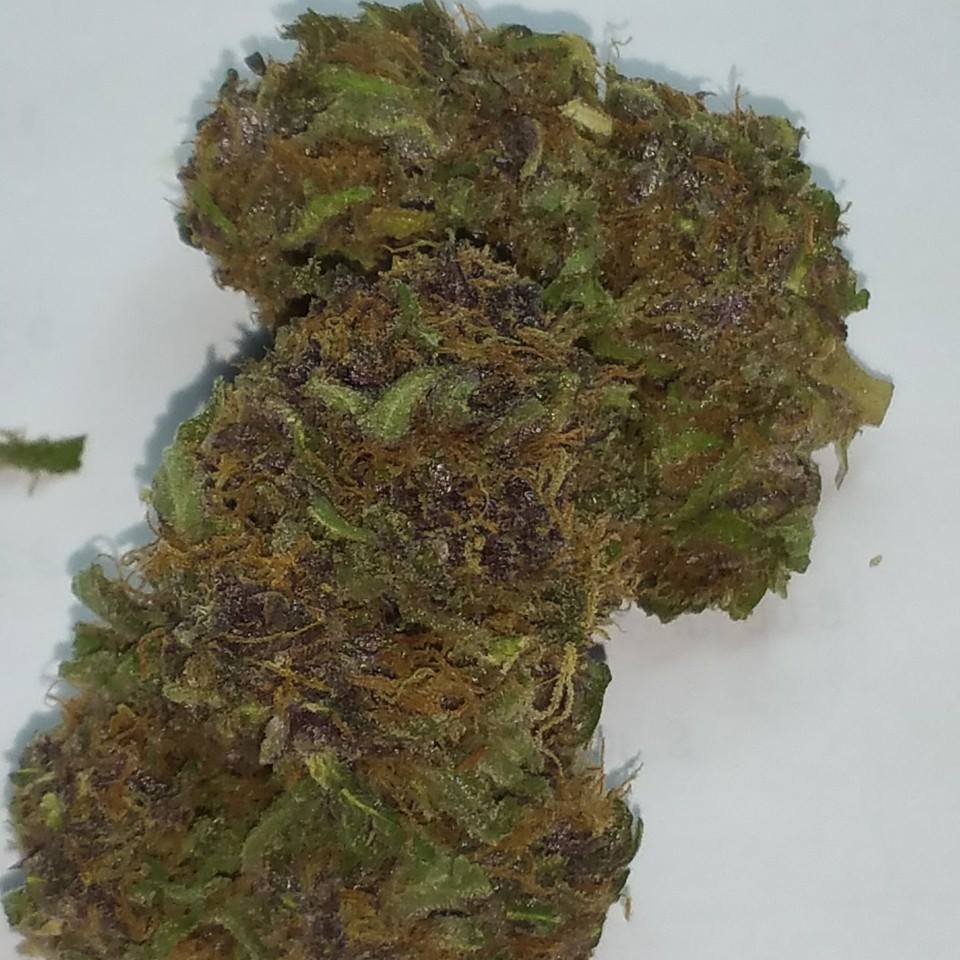 Little Amsterdam - Nevada Website