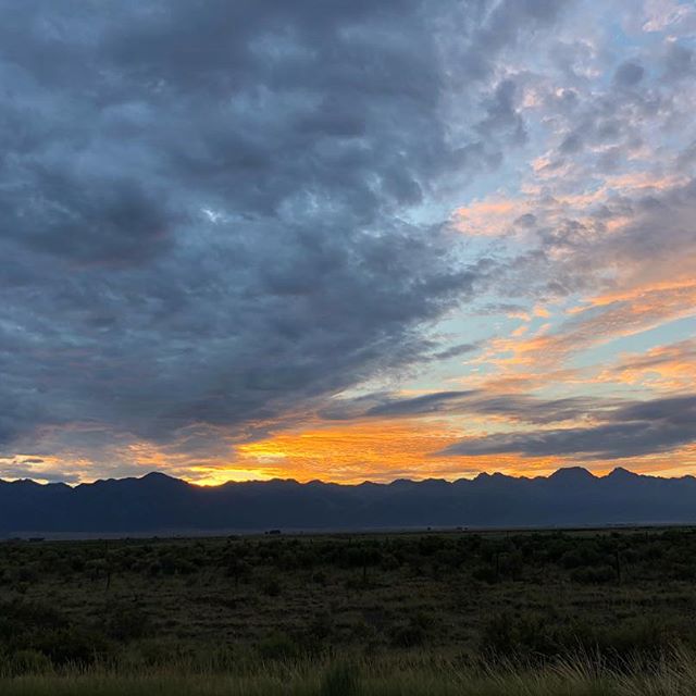 1:11 Dispensary Website