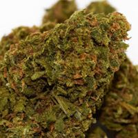 The Cannabis Method Website