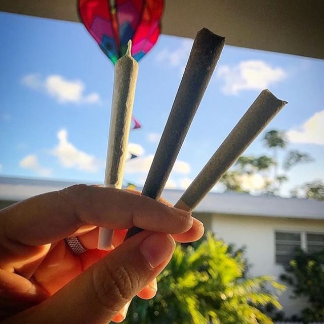 Emerald Fields Website