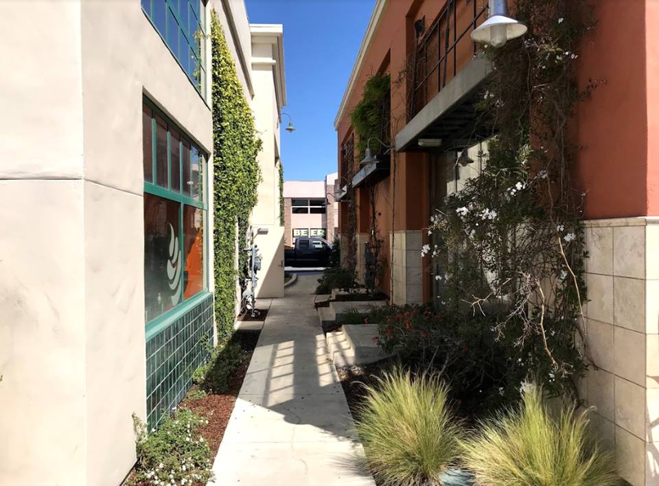 Sugarleaf Trading Company Website