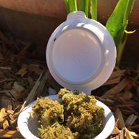 MJS Packaging Website