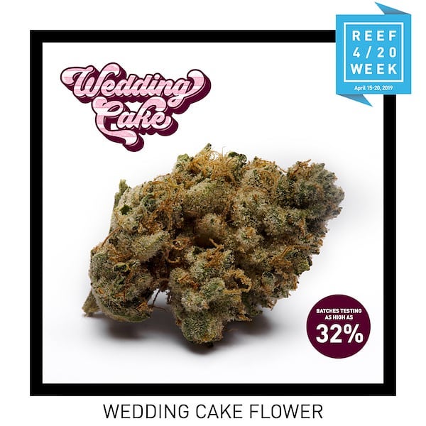 Reef Dispensaries - Queen Creek, AZ Website