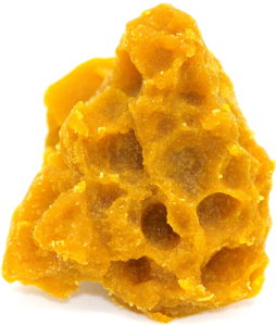 The THC collective Website