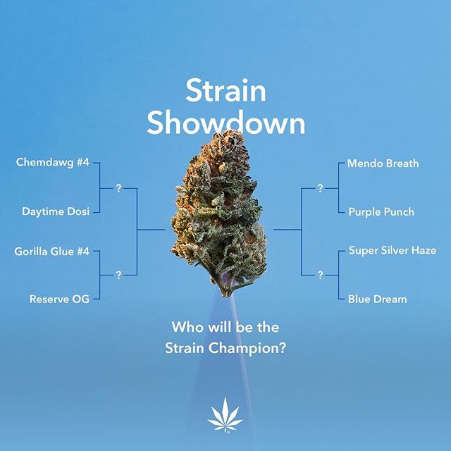 MedMen The Strip (Paradise & Harmon) Website