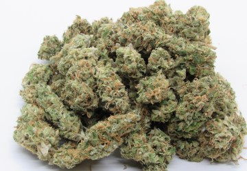 Selmer Farms Website