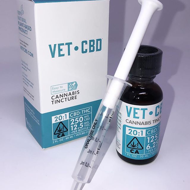 Dixon Wellness Website