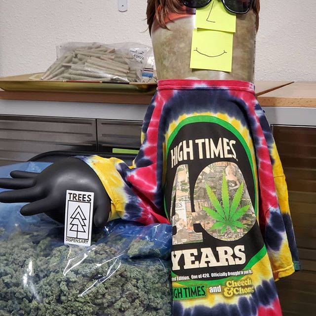 Trees Waterfront Website