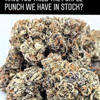 New MexiCann Website