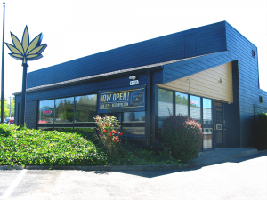 Nectar - Hall Blvd Website