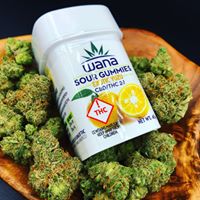 Diego Pellicer - South Denver Website