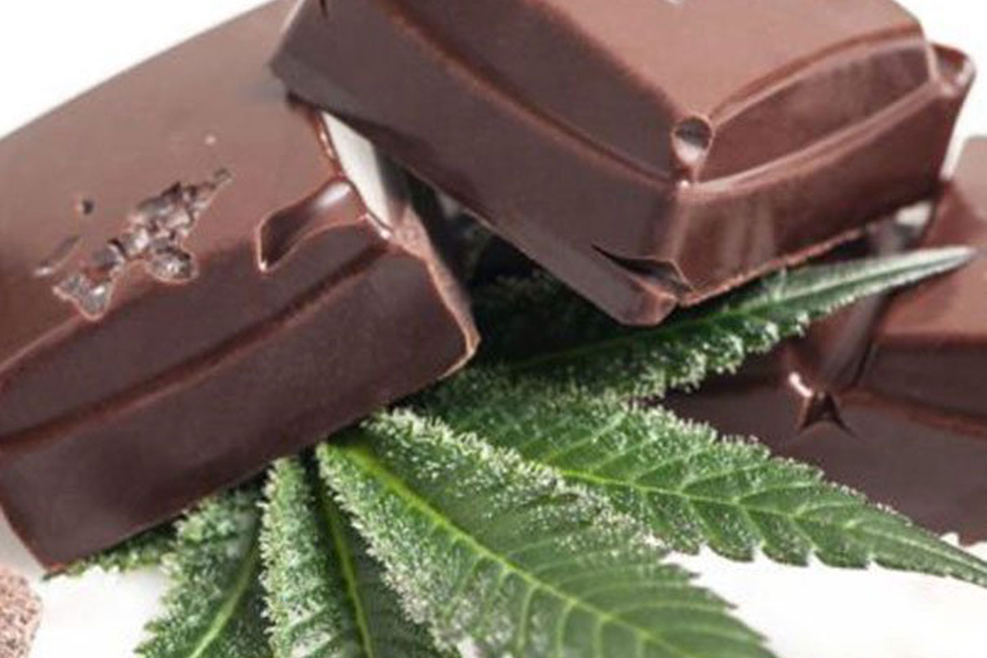 Mynt - Downtown Reno Website