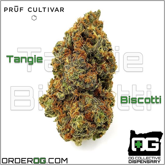 OG Collective - Hawthorne Website