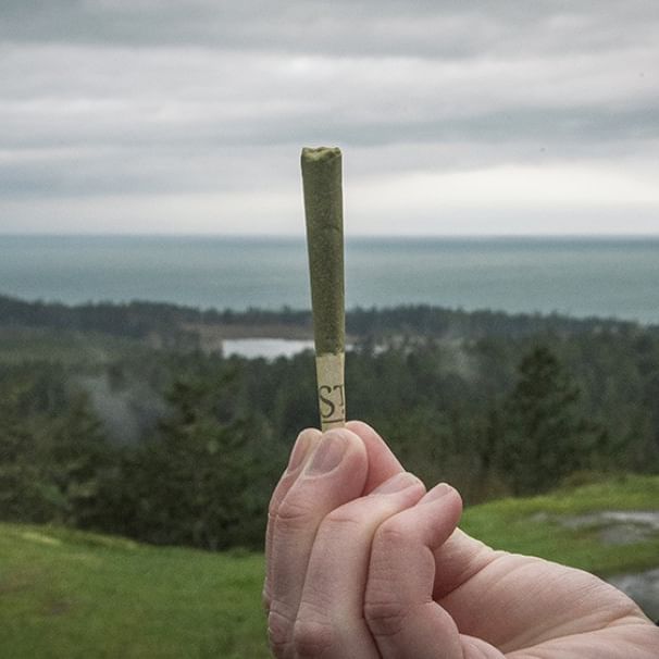 The Reef - Bremerton Website