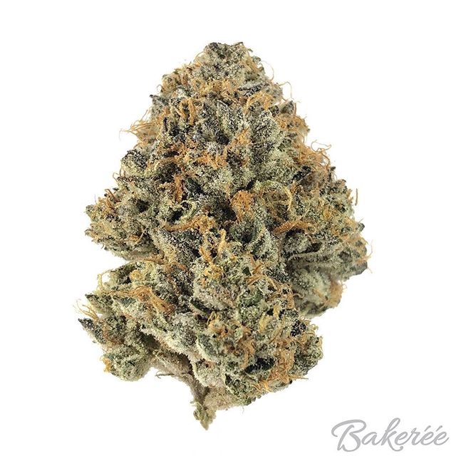 The Bakeréé Website