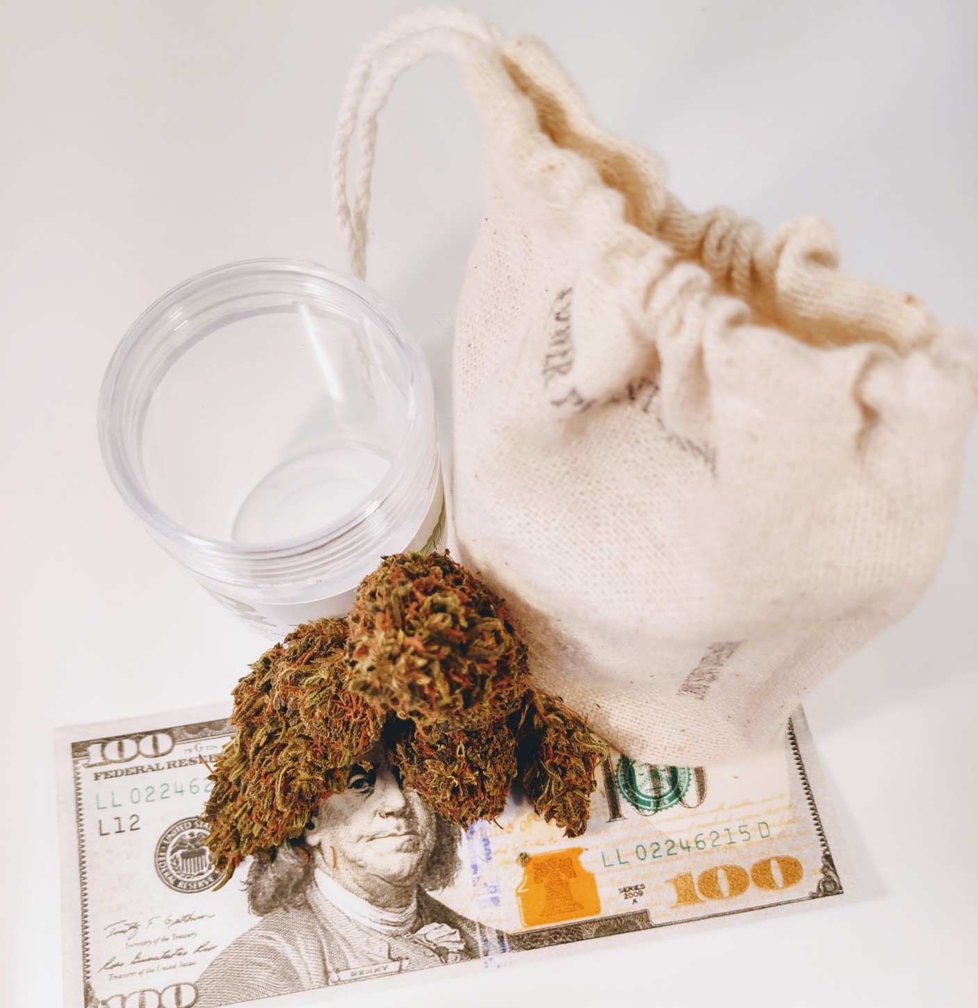 Power Plants Inc Website