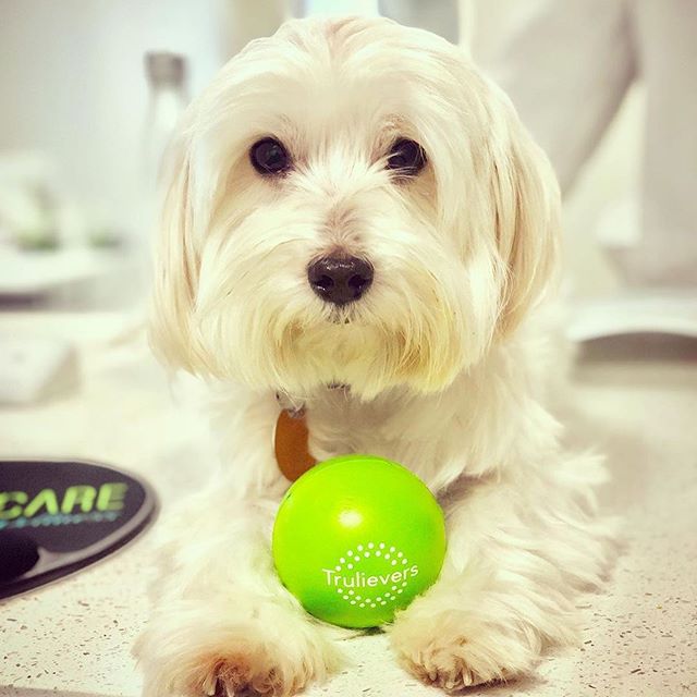 Trulieve - Boynton Beach Website