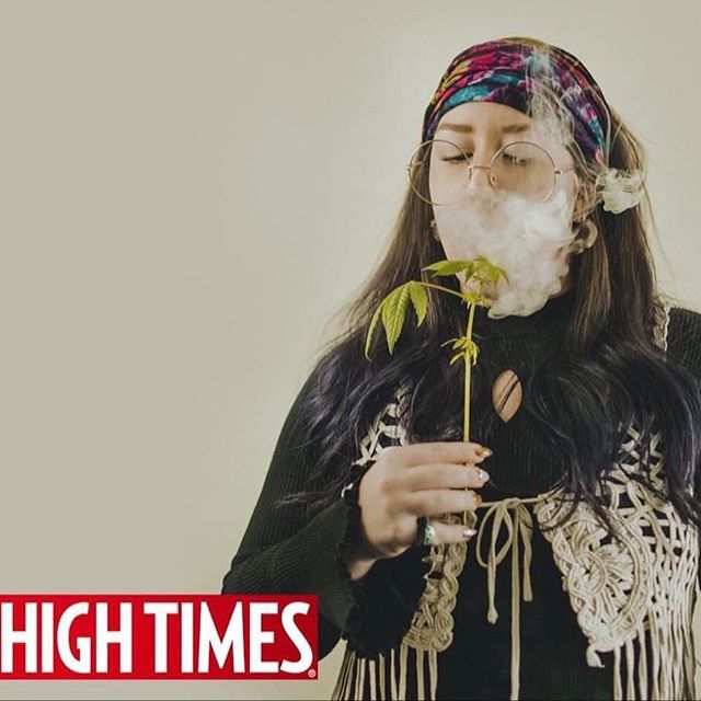 Lightshade - 6th Avenue Website