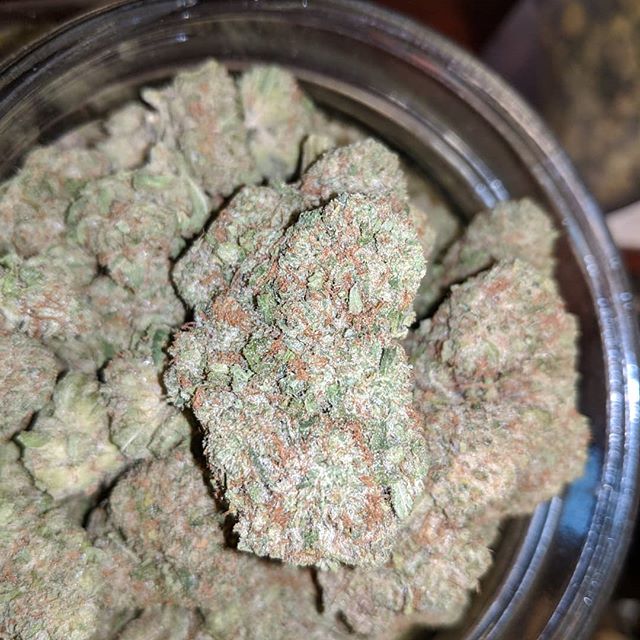 Medicinal Oasis - Recreational Website