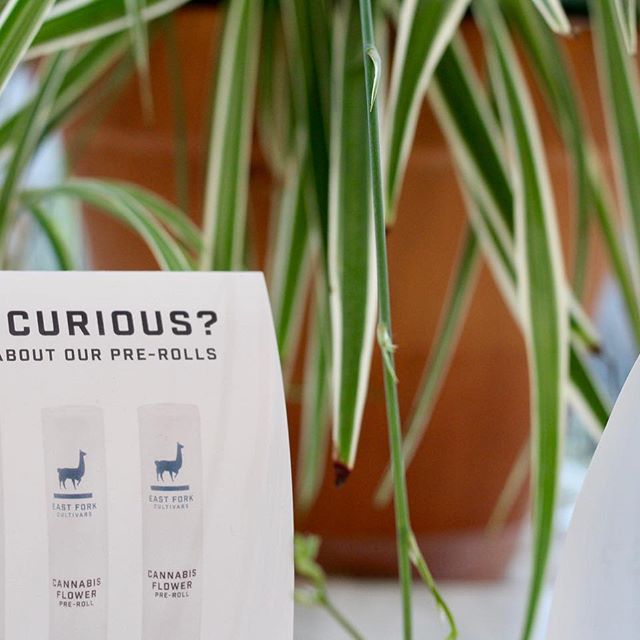 Treestar Botanicals Website