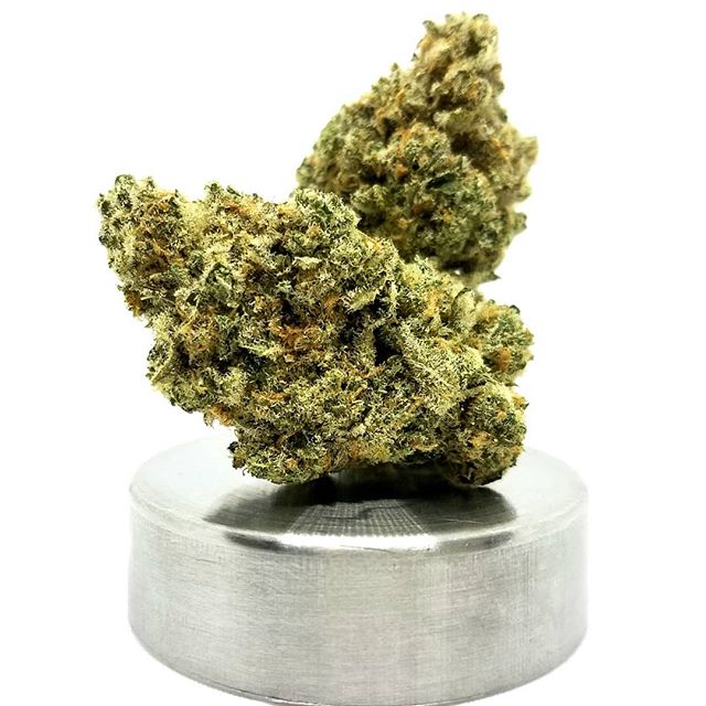 The Agrestic North Website