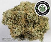 LOS ANGELES KUSH - EAST LA Website