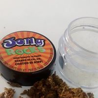 The Diamond Bonsai Website