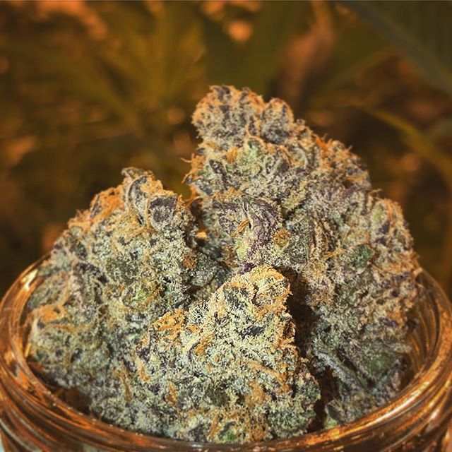 Grass Monkey Cannabis Company Website