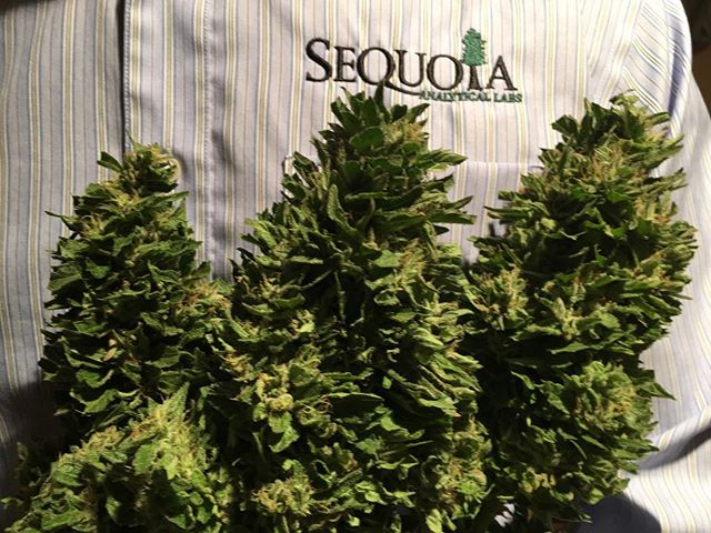 The Sequoyah Group, LLC Website