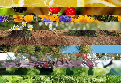 Whidbey Island Cannabis Company - Recreational Website