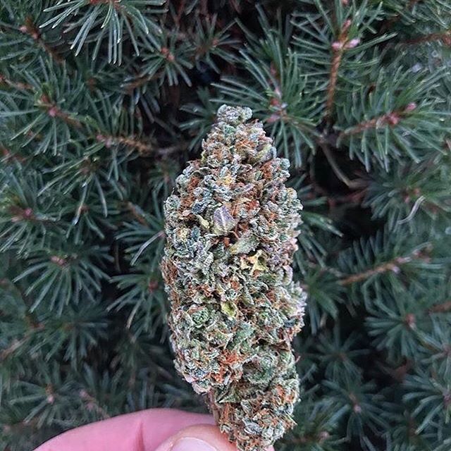 Emerald Fields Website