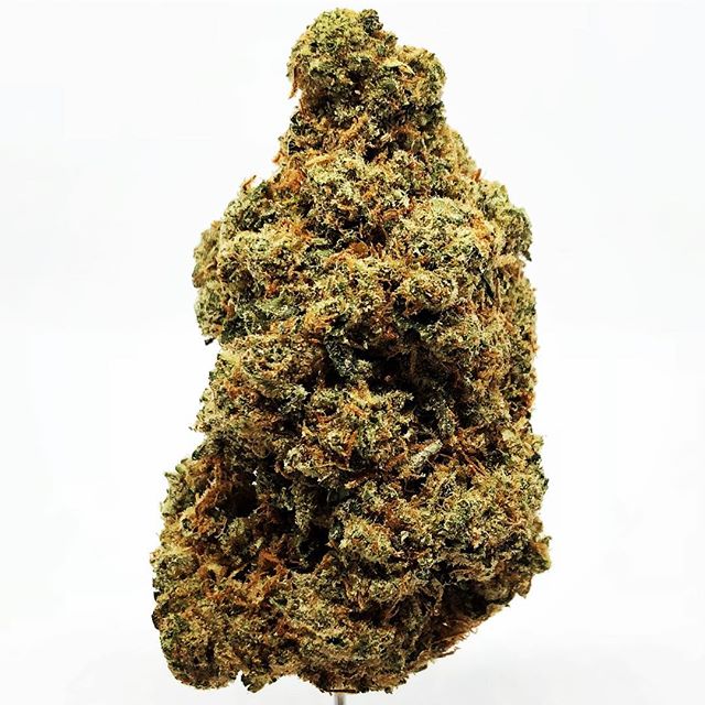Budlandia - Division St. Website