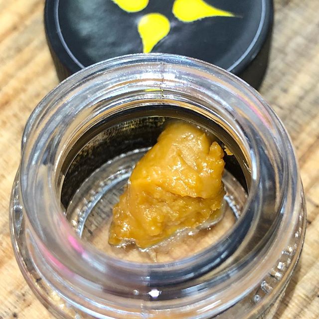 Mynt - North Reno Website