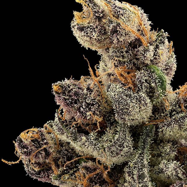 Fillabong - Silverdale Website