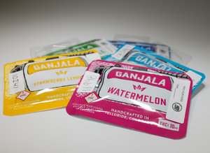 Ace's Place - Recreational Website